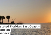 Seagrass has made an unexpected return to Mosquito Lagoon. Captain William B. Wolfson, Grassroots Guide Service, New Smyrna Beach, FL